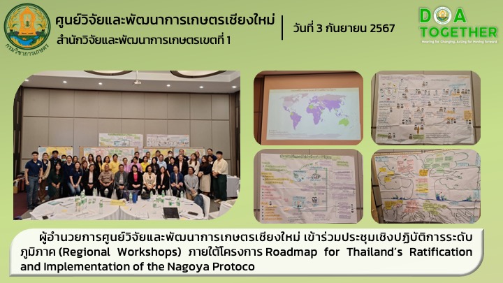 ผู้อำนวยการศูนย์วิจัยและพัฒนาการเกษตรเชียงใหม่ เข้าร่วมประชุมเชิงปฏิบัติการระดับภูมิภาค (Regional Workshops) ภายใต้โครงการ Roadmap for Thailand’s Ratification and Implementation of the Nagoya Protoco