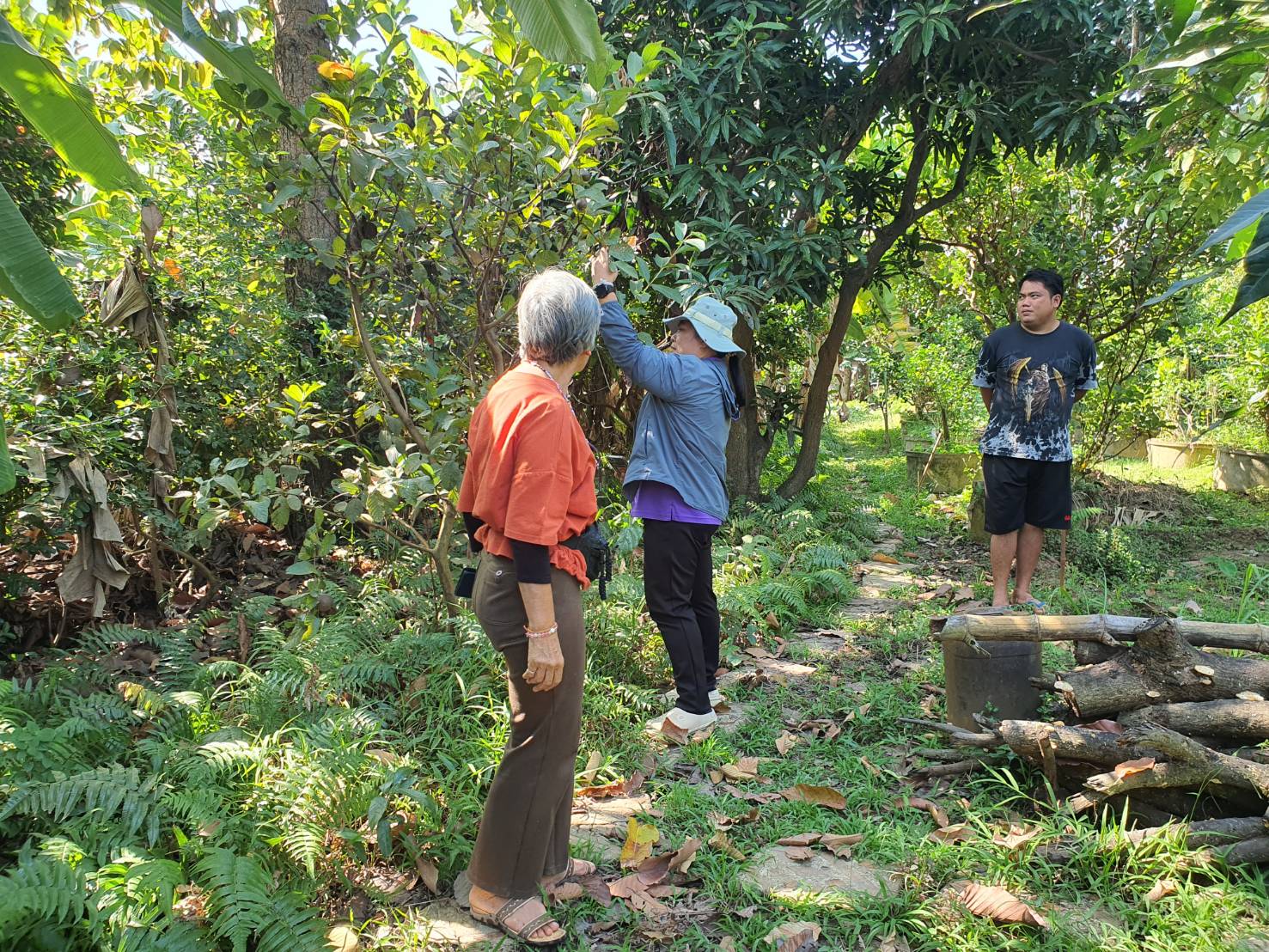 ลงพื้นที่ตรวจรับรองแหล่งผลิตพืชอินทรีย์