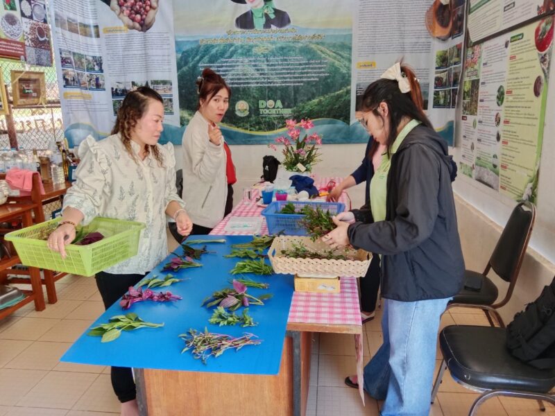 ผู้อำนวยการศูนย์วิจัยและพัฒนาการเกษตรเพชรบูรณ์ เข้าติดตามการดำเนินงานกิจกรรมพัฒนาผลิตภัณฑ์การแปรรูปสมุนไพรพร้อมใช้เพื่อเพิ่มมูลค่าและเป็นอัตลักษณ์ของชุมชน