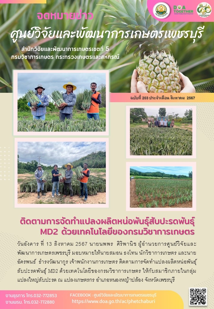 ฉบับข่าวเดือนสิงหาคม 2567