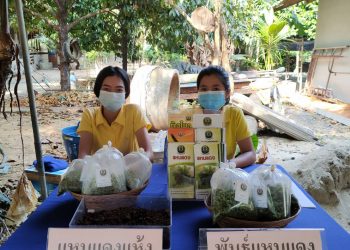 ศวพ. ตรัง ออกสถานีเรียนรู้/ให้บริการทางการเกษตรในงานวันถ่ายทอดเทคโนโลยี  (Fielf Day)