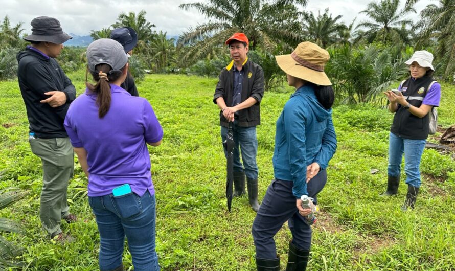 ธรรมนัส สั่ง กรมวิชาการเกษตรเร่งแก้ปัญหาโรคลำต้นเน่าปาล์มน้ำมัน กระบี่ สุราษฎร์ธานี หนักระบาดกว่าหมื่นไร่