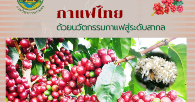 เอกสารวิชาการ : ยกระดับอัตลักษณ์กาแฟไทย ด้วยนวัตกรรมกาแฟสู่ระดับสากล