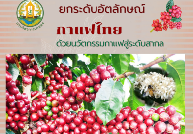 เอกสารวิชาการ : ยกระดับอัตลักษณ์กาแฟไทย ด้วยนวัตกรรมกาแฟสู่ระดับสากล