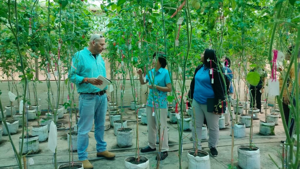 Dr.Assaf Eybishitz ผู้เชี่ยวชาญด้านการปรับปรุงพันธุ์มะเขือเทศ ของ World Vegetable Center ที่เดินทางมาตรวจติดตาม และประเมินผลงานวิจัยของโครงการ Development of Vegetable Breeding Technology in Asia region (VEG Phase 2)