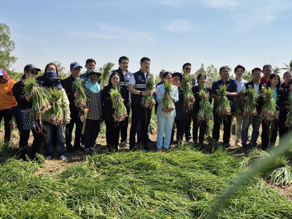 ร่วมลงพื้นที่กับที่ปรึกษารัฐมนตรีว่าการกระทรวงพาณิชย์ เพื่อติดตามการรับซื้อหอมแดง ณ แปลงใหญ่หอมแดงตำบลไผ่ อำเภอราศีไศล จังหวัดศรีสะเกษ