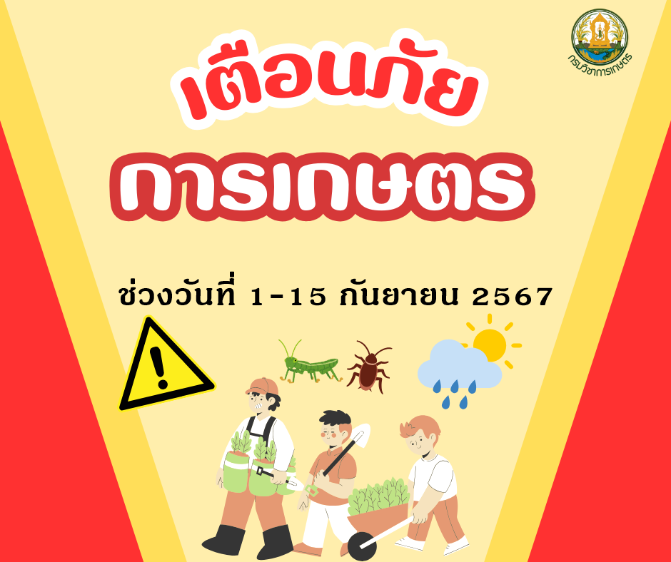 เตือนภัยการเกษตร ช่วงวันที่ 1-15 กันยายน 2567