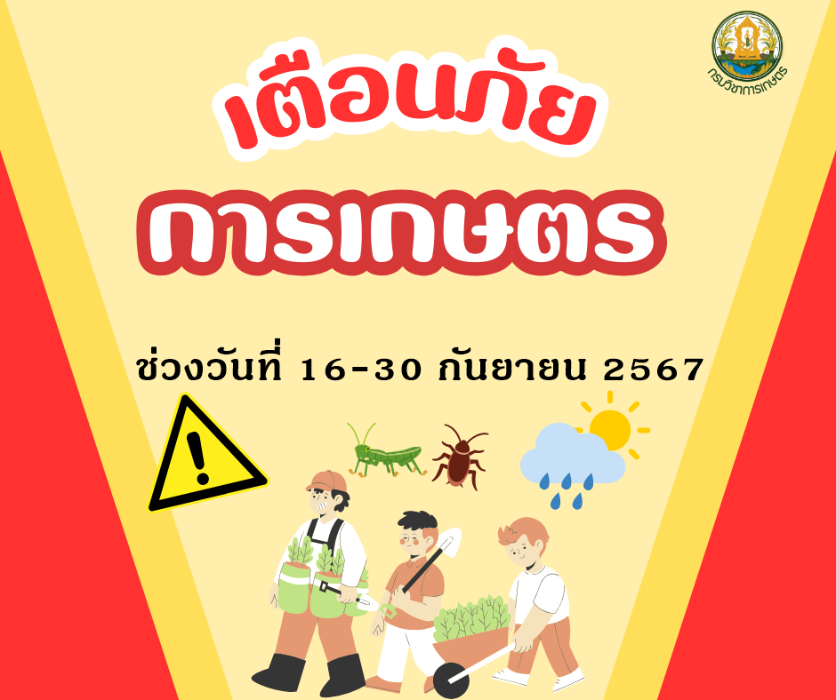 เตือนภัยการเกษตร ช่วงวันที่ 16-30 กันยายน 2567