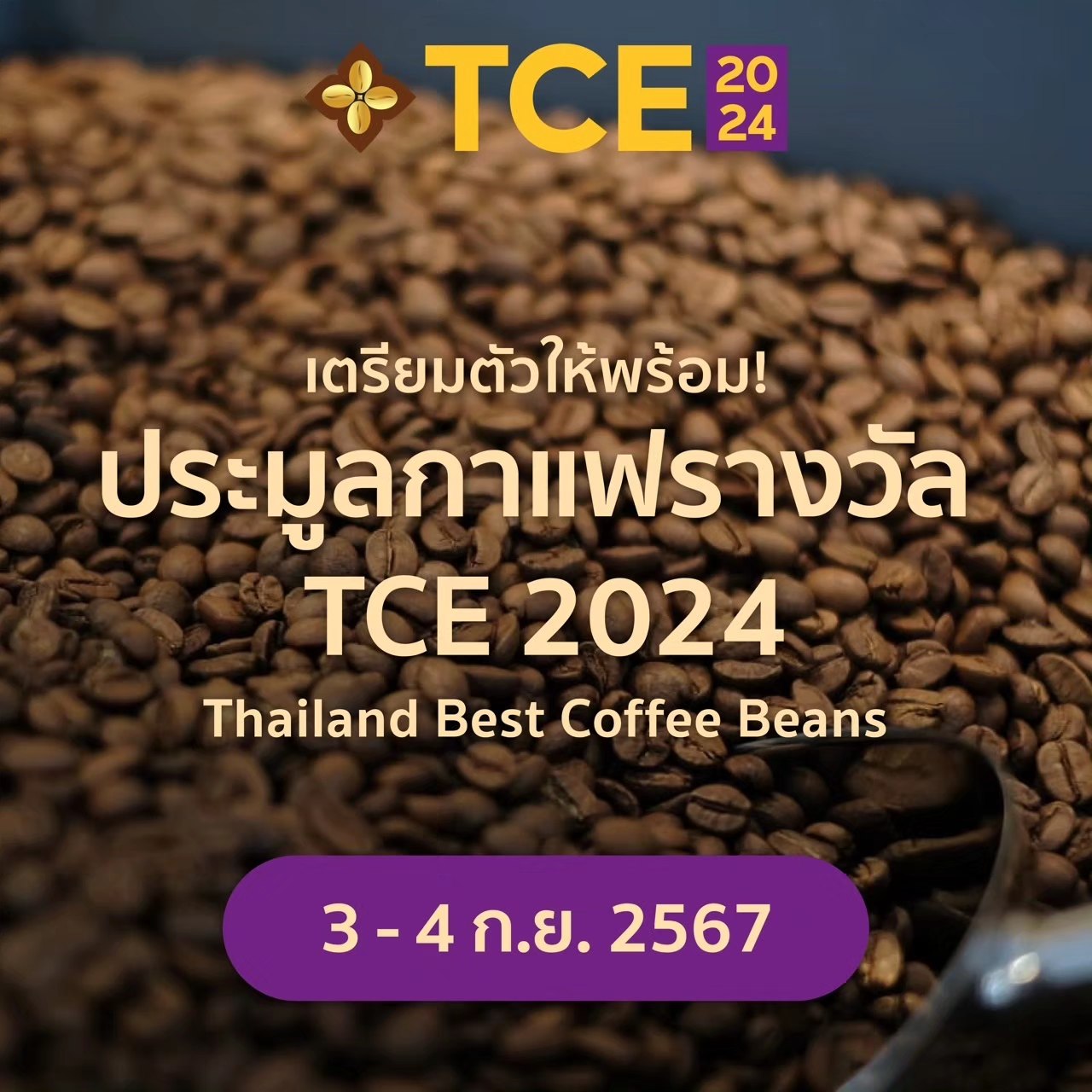 เตรียมตัวให้พร้อม! ประมูลกาแฟ TCE 2024 Thailand Best Coffee Beans