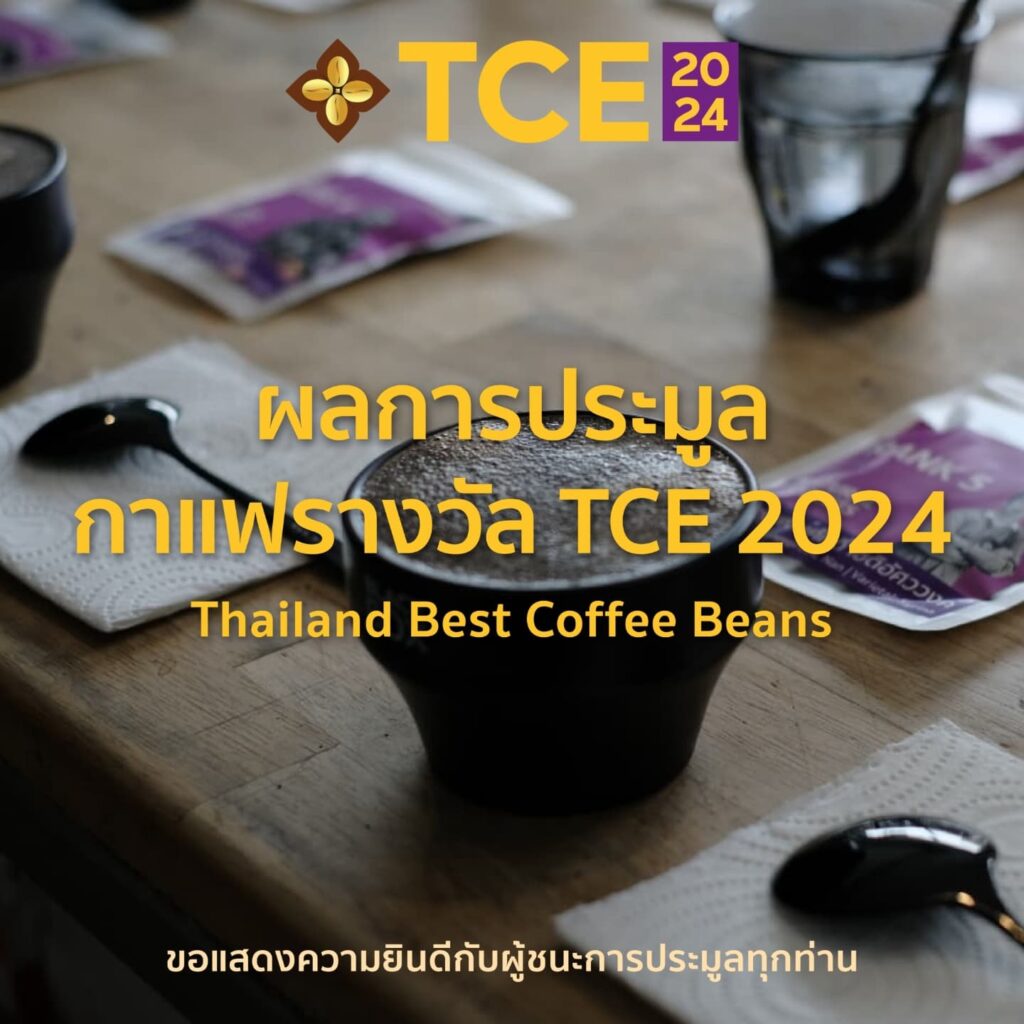 ประกาศผลการประมูลกาแฟรางวัลโครงการ TCE 2024 Thailand Best Coffee Beans