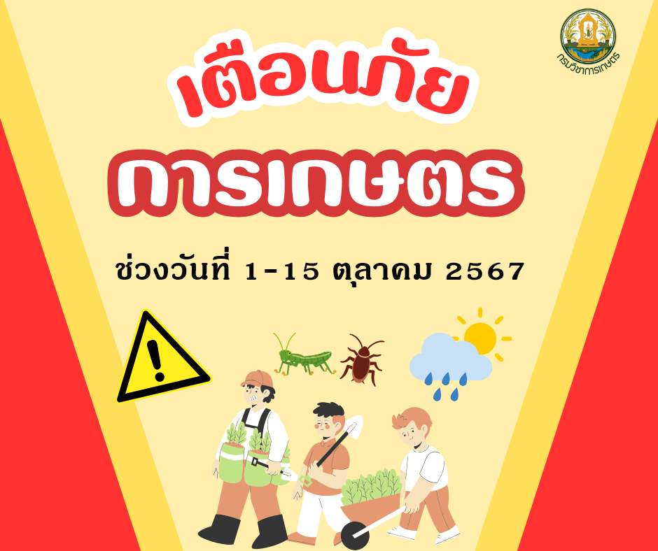 เตือนภัยการเกษตร ช่วงวันที่ 1-15 ตุลาคม 2567