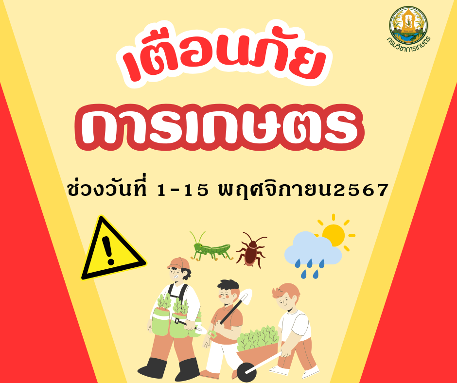 เตือนภัยการเกษตร ช่วงวันที่ 1-15 พฤศจิกายน 2567