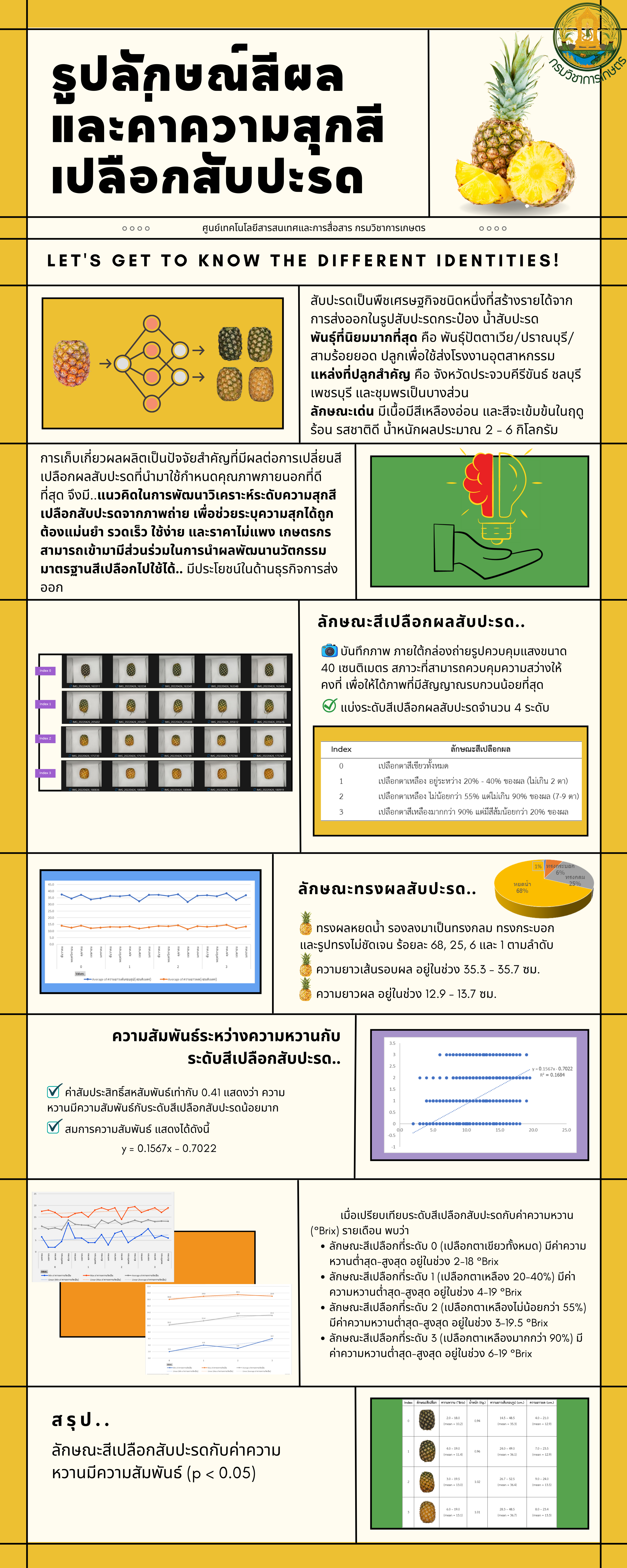 รูปลักษณ์สีผลและค่าความสุกของสีเปลือกสับปะรด