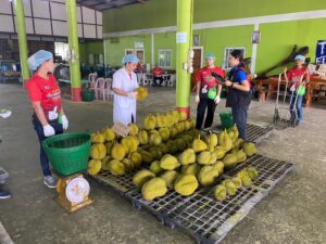 สวพ.7 รับการตรวจประเมินระยะไกล  จากสำนักงานศุลกากรจีน (GACC) ในการตรวจสอบโรงคัดบรรจุทุเรียน