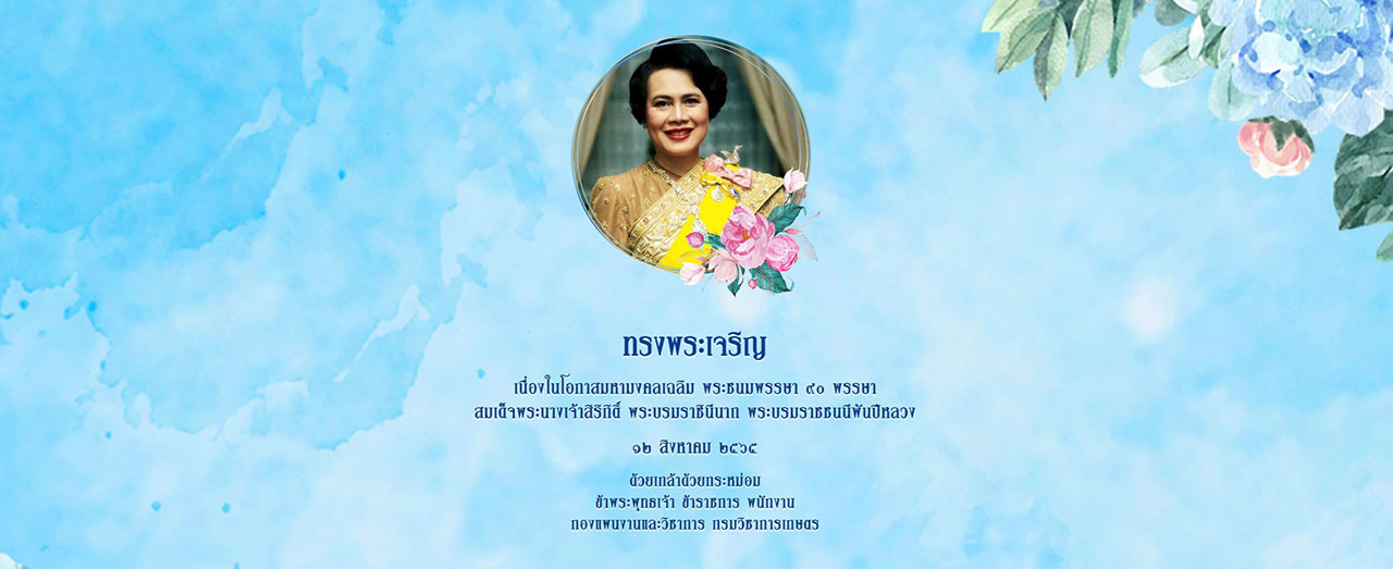 12สิงหา