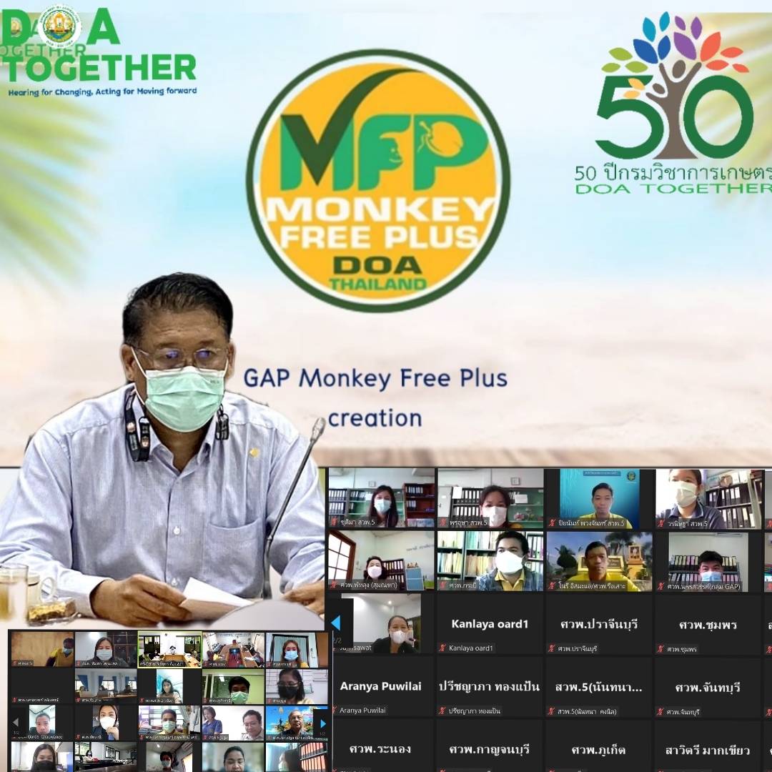 การประชุมชี้แจงแนวทางการดำเนินงานตรวจประเมินแปลงมะพร้าว GAP Monkey Free Plus