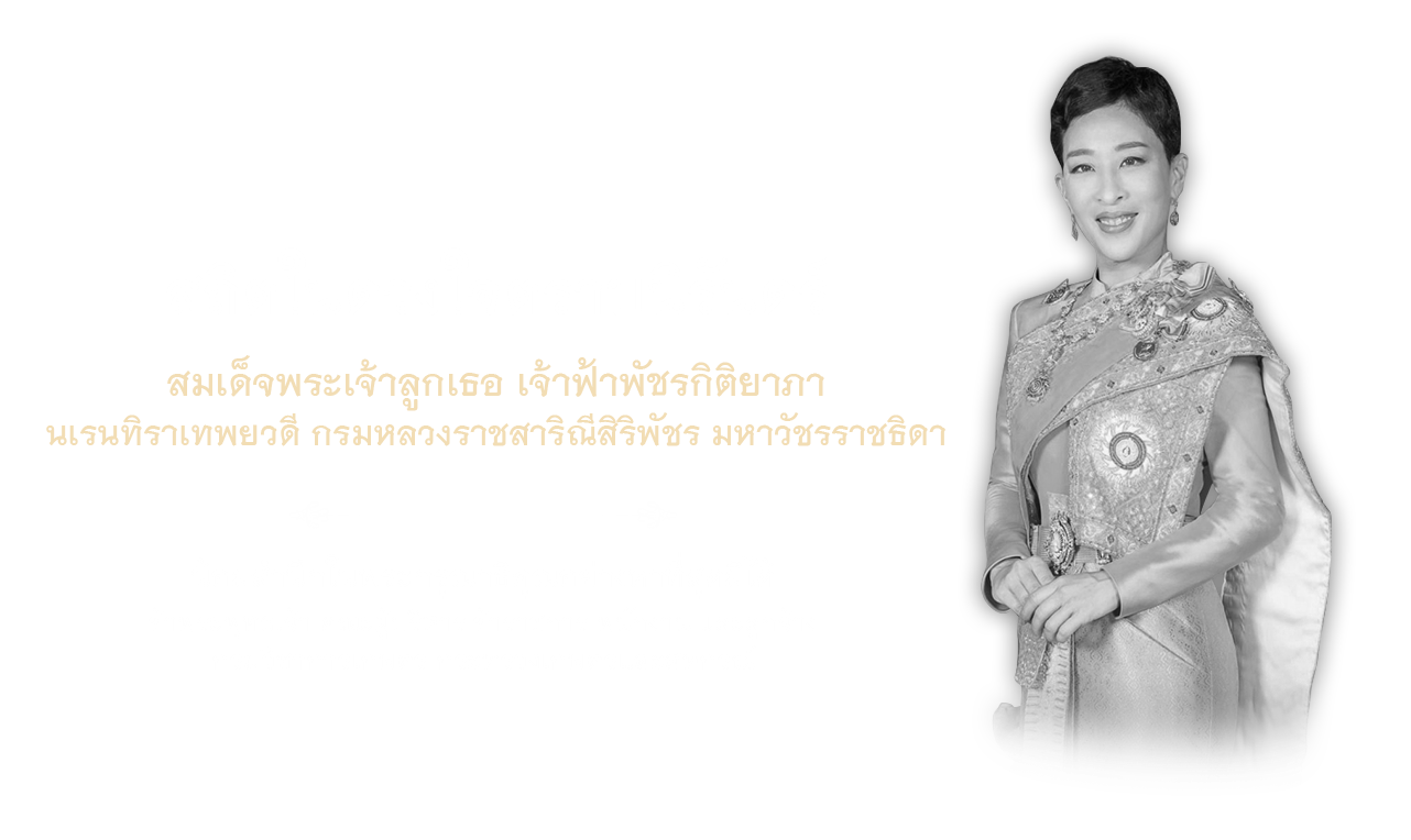 สถิตในดวงใจตราบนิรันดร์
สมเด็จพระเจ้าลูกเธอ เจ้าฟ้าพัชรกิติยาภา นเรนทิราเทพยวดี กรมหลวงราชสาริณีสิริพัชร มหาวัชรราชธิดา